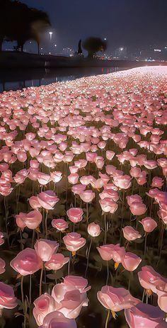 Serenade of Springtime Blossom Array